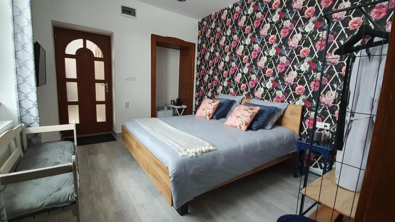 Bed and Breakfast Tisza White House à Tiszaszolos Extérieur photo