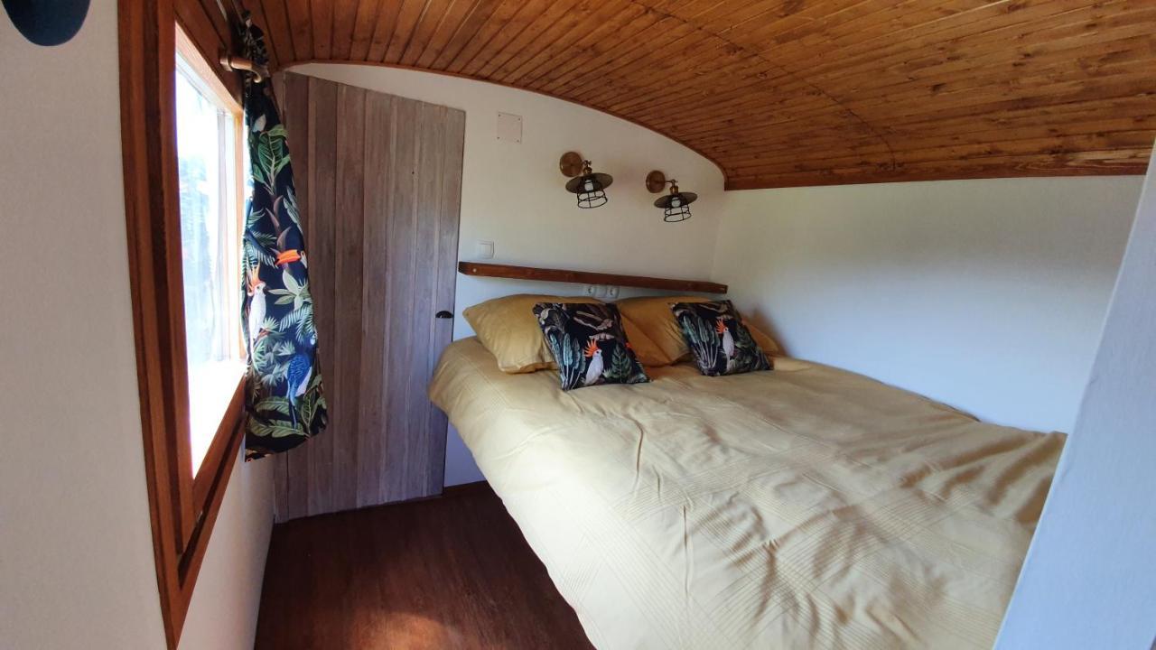 Bed and Breakfast Tisza White House à Tiszaszolos Extérieur photo