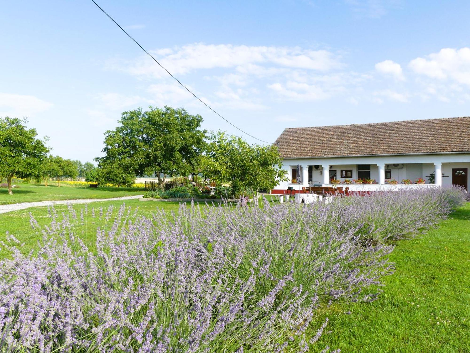 Bed and Breakfast Tisza White House à Tiszaszolos Extérieur photo