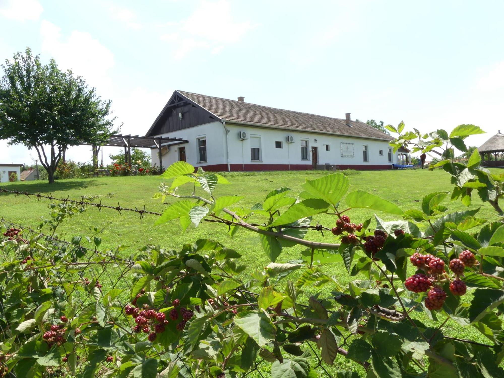 Bed and Breakfast Tisza White House à Tiszaszolos Extérieur photo