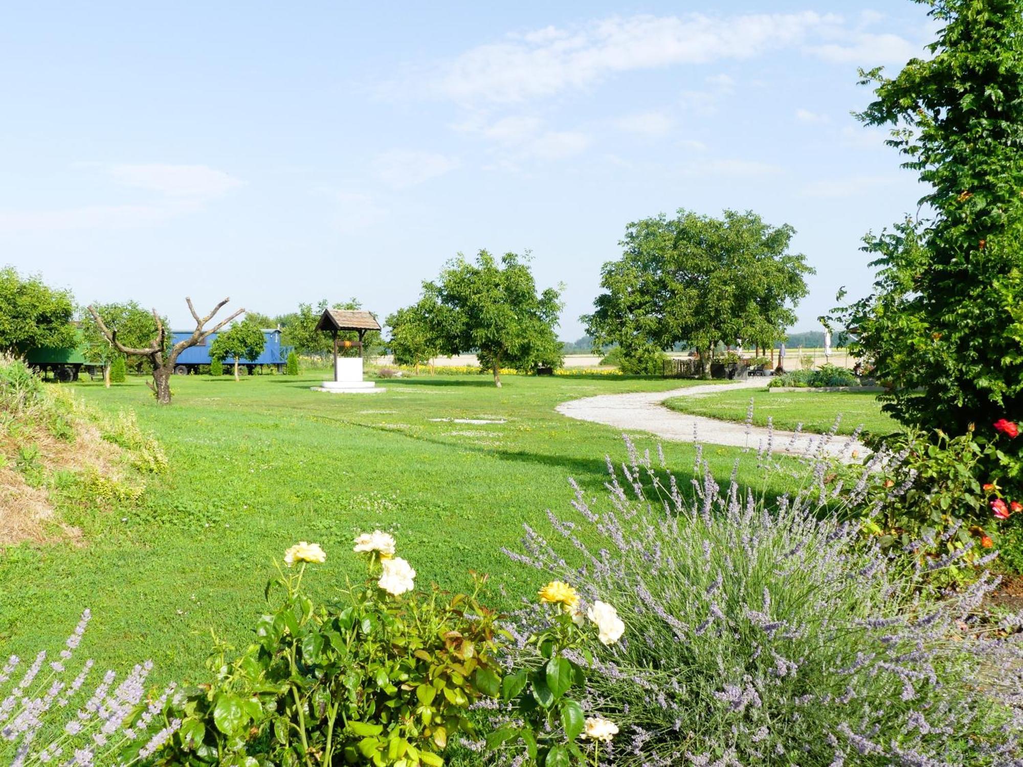 Bed and Breakfast Tisza White House à Tiszaszolos Extérieur photo